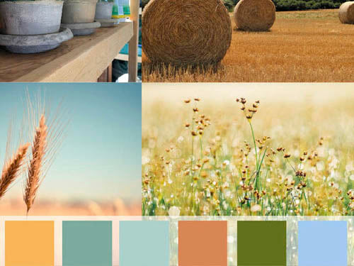 Compilation of images with color blocks below. Images are late summer fall inspired: hay bales, garden pots, flowers at the end of the season, and wheat stocks. Colors are yellow, aqua, terra cotta, green, and blue. 