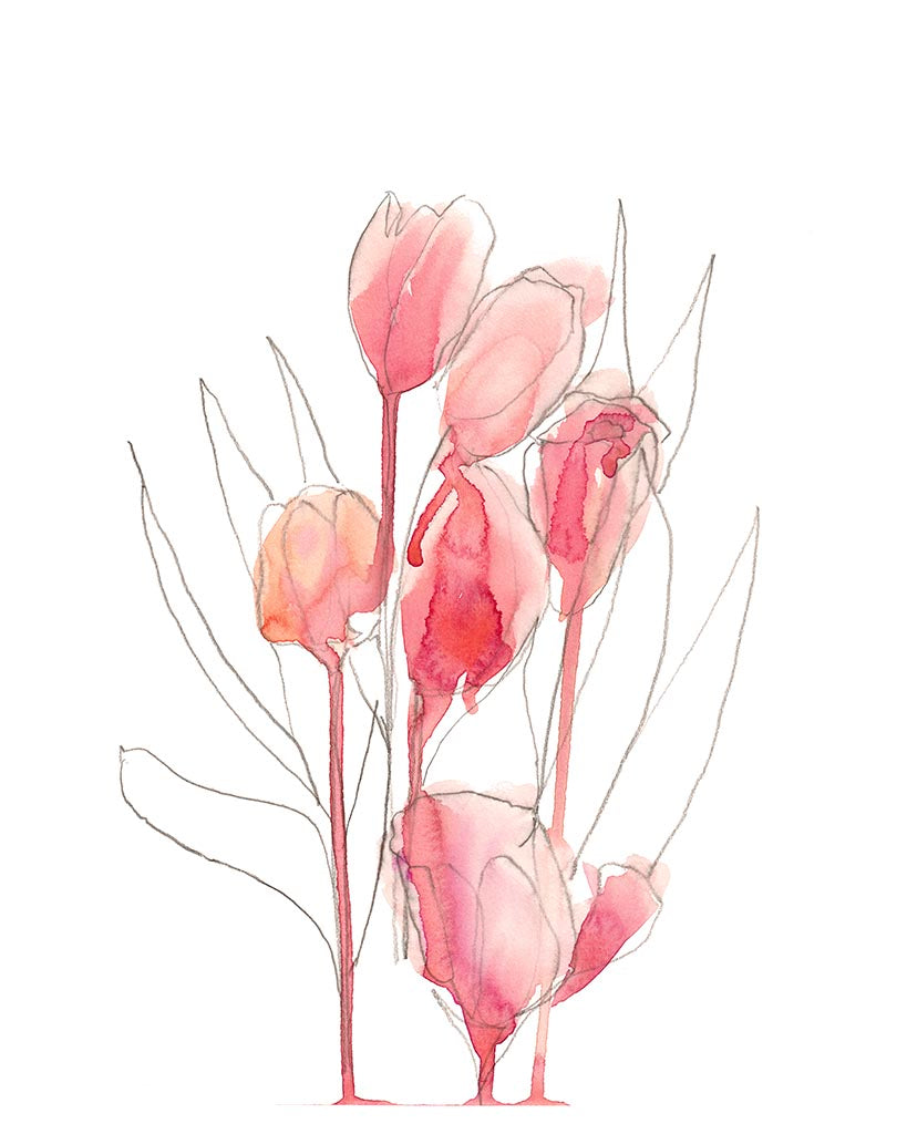 16x20 Fine art print by Jenny Bova.  A tulip bouquet pencil sketch partially filled in with loose pink watercolor has a true artists sketchbook feel. Small white border for artists signature.