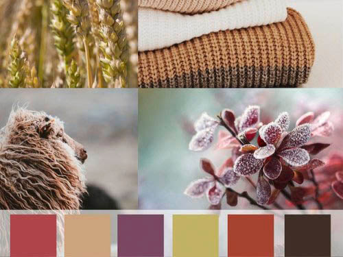 Compilation of images inspired by deep autumn colors. Unsheared sheep, sweaters, frost on blossoms. Below the images are color blocks pulling colors from all of the images. Colors are terra cotta, beige, purple, chartreuse, orange-red, and deep brown. 